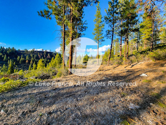 Exclusive 2.5 Acres in Klamath Wilderness - $300/mo