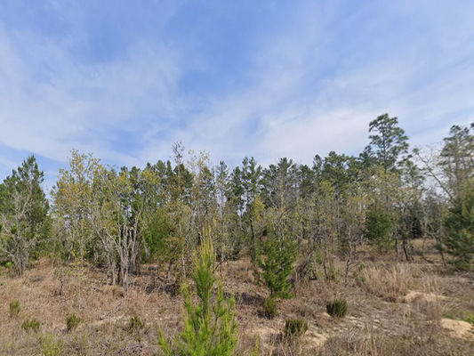 .20-Acre Lot in Putman, FL! Power Close/Mobile Homes Welcome