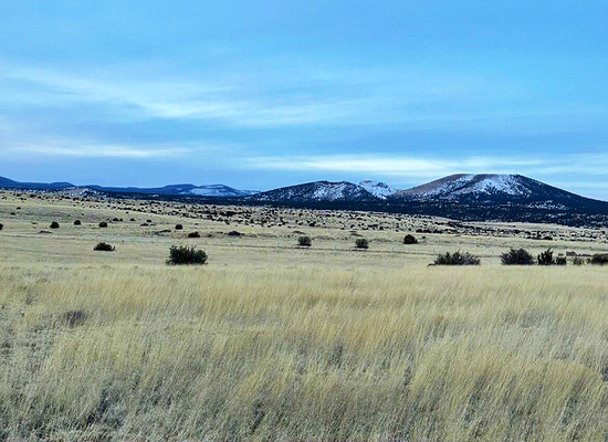 Your Perfect Retreat: Gorgeous Lot south of Concho,  Arizona