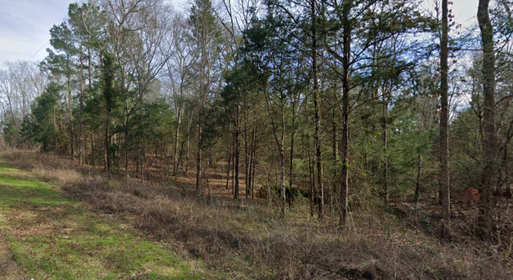 Beautiful 0.22 Acre Property in Cherokee County, TX!