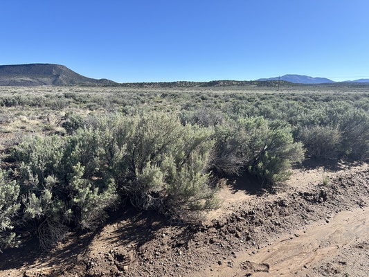 4.55 Acres in Costilla County, CO, $195/Mo