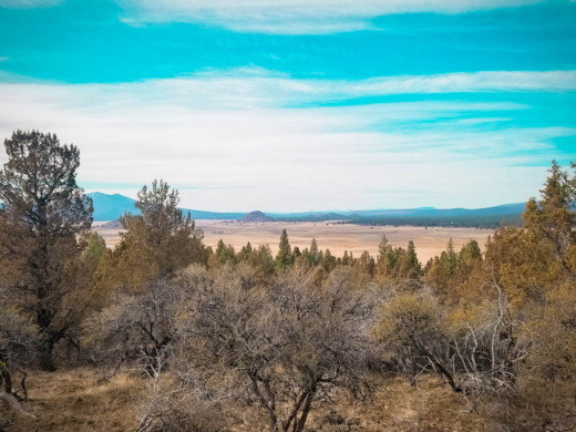 1.49 Acres in Southern Oregon Near Sprague River - $225/mo