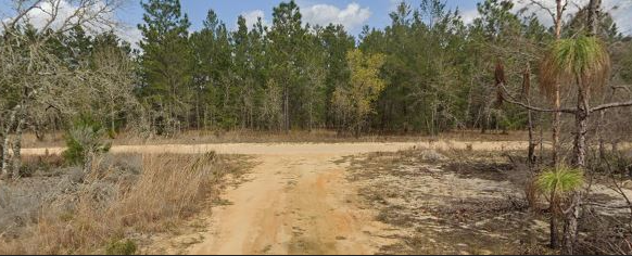 Remote 0.45 Acre Lot in Interlachen, FL