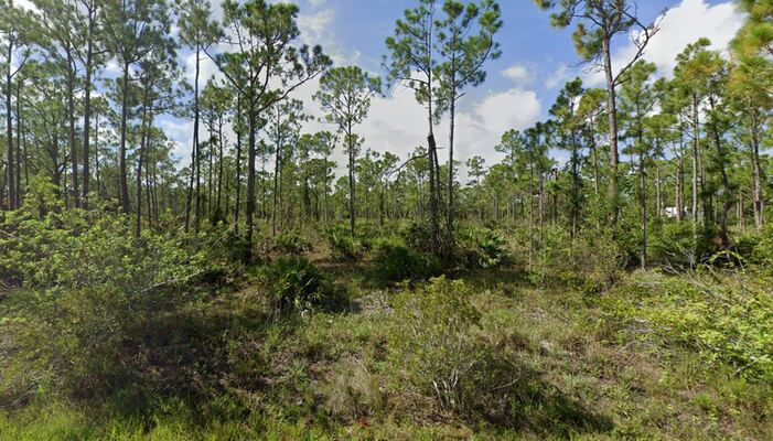 Celebrate the Next Chapter: 0.17 Acres in FL $298.82/Mo