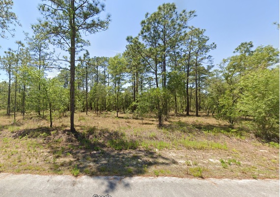 $299 Down & You're Home – Dunnellon Land Deal!