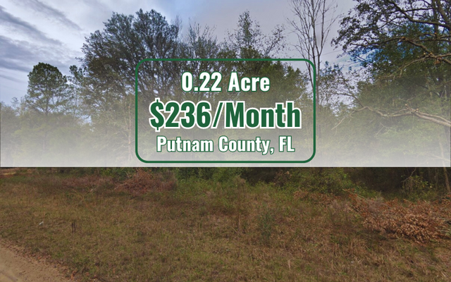 Land in Putnam County: Flat, Good for RVs <del>$400 </del> $200 Down!