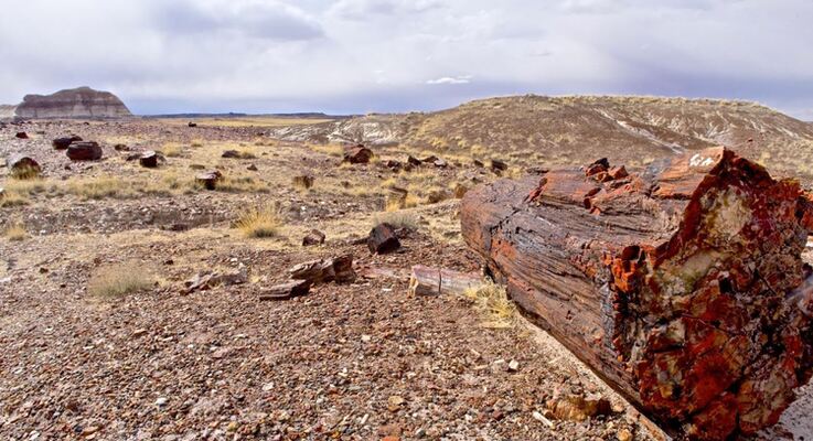 RV? Tiny Home? Desert Retreat? .63 Acres with No HOA Awaits!