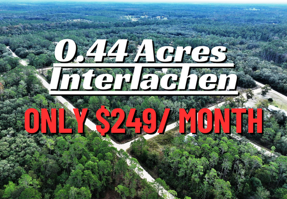 Invest on 0.44-Acre Treed Lot, Interlachen Lakes Estates FL