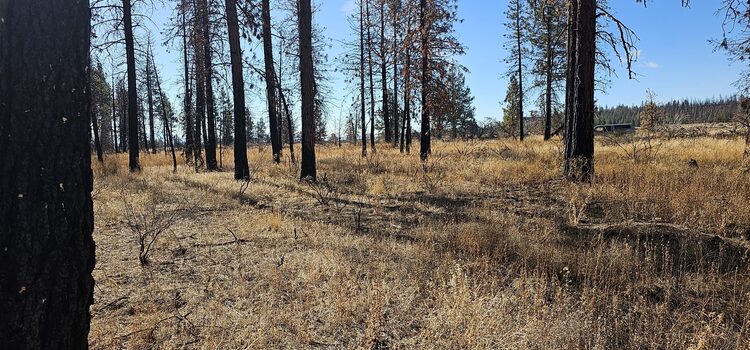 This remote, off-grid parcel was hit by the Bootleg Fire.