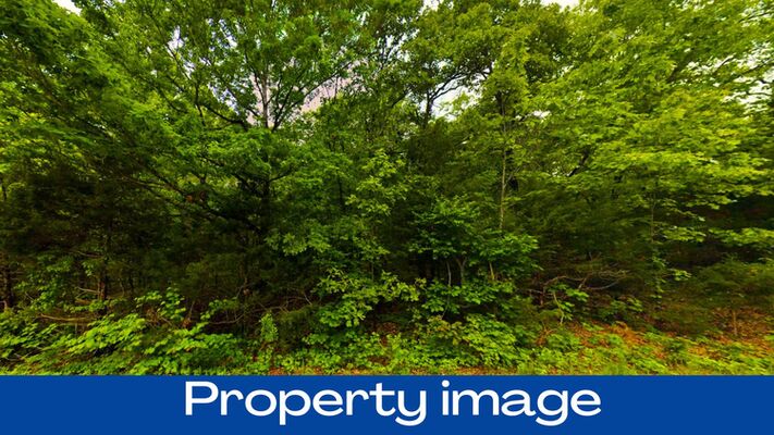 $0 Down & $63/Mo. 0.37 Acres in Horseshoe Bend, AR