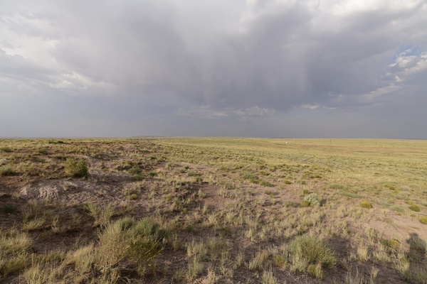 1.06 Acres in Stunning Apache County $109/month, Tiny Home?