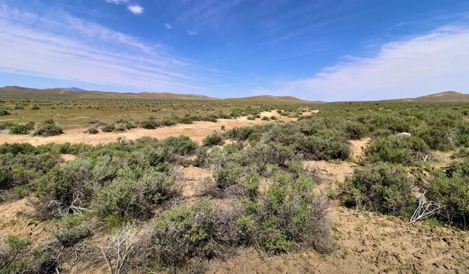 Make your Personal Paradise with 40.19 acres in NV (Sold)