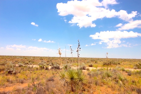 Camping Land 30 Mins from El Paso, TX: 3.3 Acres for $307/mo