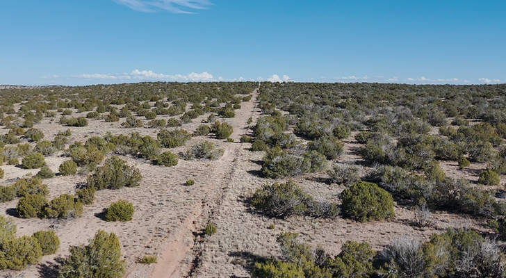 EARLY CHRISTMAS SALE! AZ Land Gem