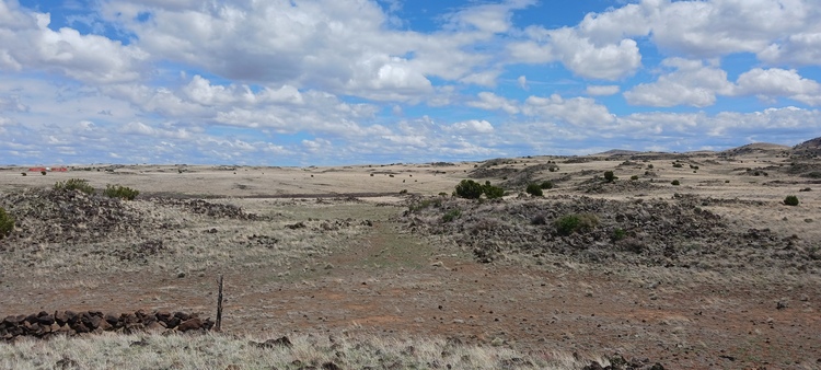 $10 DOWN CLEARANCE! 1 acre near Concho, AZ