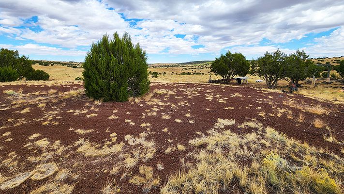 Escape the Desert Heat: Beautiful Panoramic Views in Concho