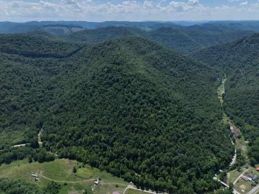 73.67 Unrestricted Acres in Nicholas County West Virginia!