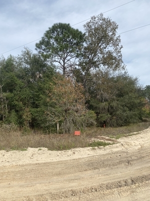 City Breakaway: 0.23 Acres in FL $193/Mo