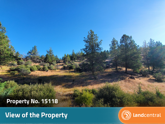 Desavado Rd., Montague, CA 96064 Land for Sale | Landmodo