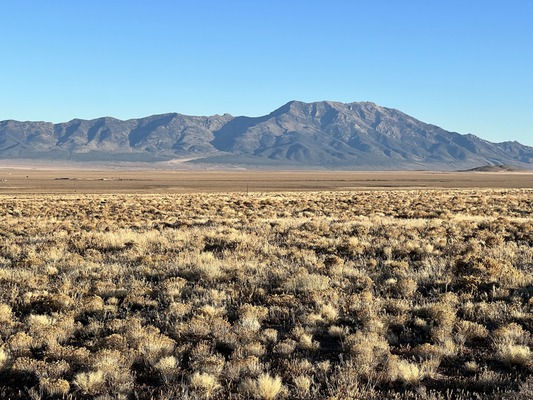 2.27 Acres Of Farm Life in the Rural Nevada High Desert