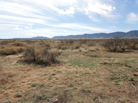 Grassy savannah! 2.58 Acre Property in Sunsites, Arizona