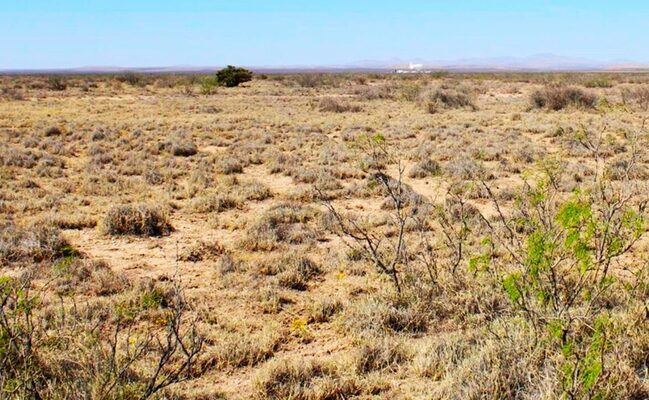 1-Acre Lots Cheap Land for Sale in New Mexico