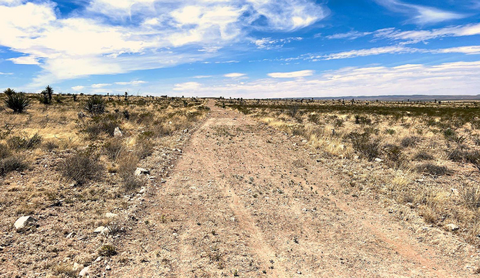 What would YOU do with 23 acres in Hudspeth County, Texas?