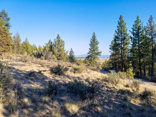 ☀️Suns out,  guns out ? 1.7 acres with Trees -  $150/mo