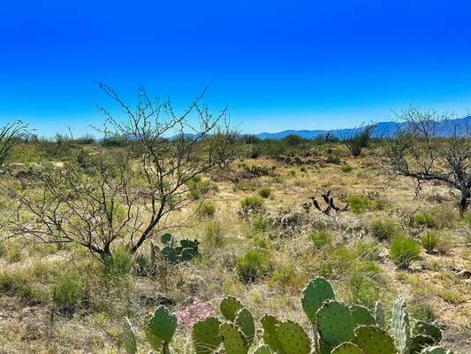 Create Your Sustainable Future Near Tucson