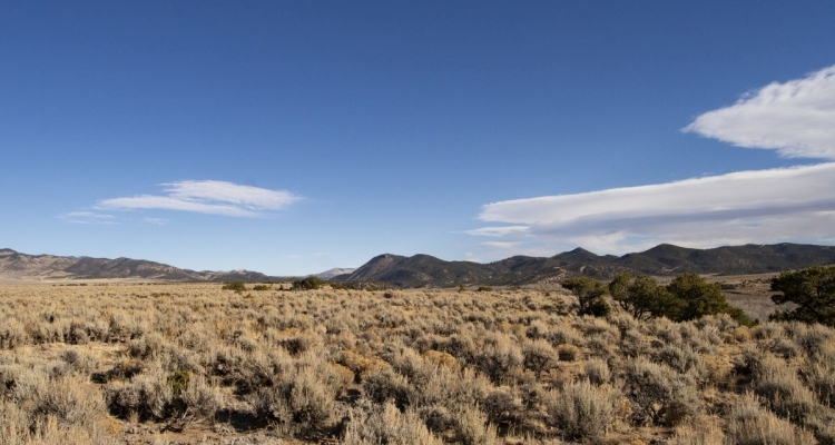 5.2 Acres in Costilla County to Call Your Own!