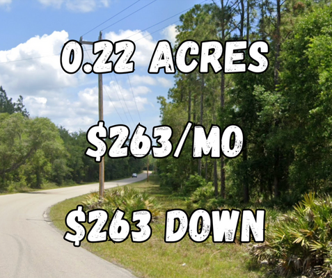 Paved Road 0.28-Acre Lot in Florahome, FL! Only $263/mo!