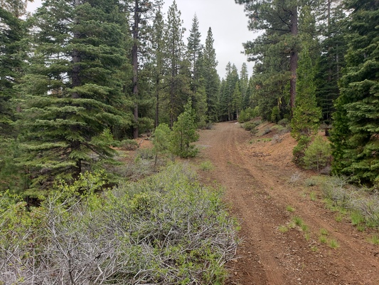 Rare double lot opportunity in the beautiful Modoc Mountains for $250 a month