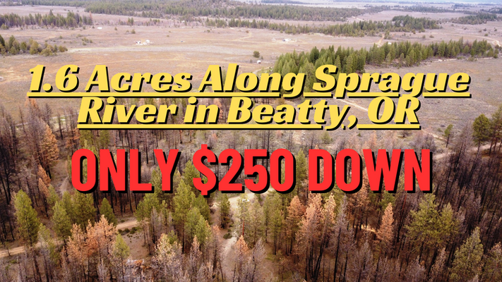 1.6 Acres Nestled Among Pine Trees for $250/month