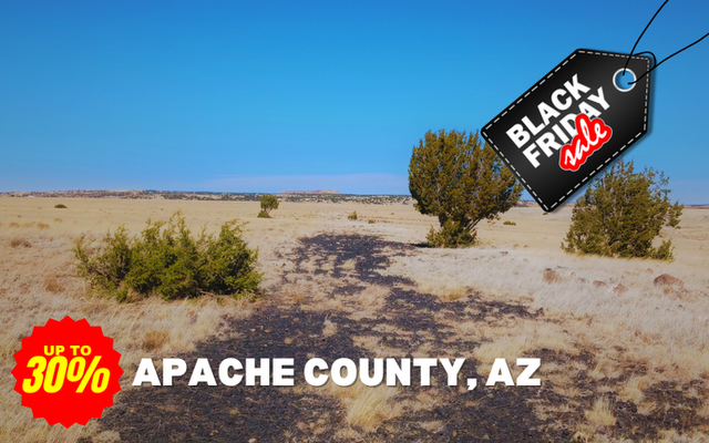 <span style='color:red; font-size: 50px;'><marquee>Black Friday</marquee></s></span> Exclusive Offer: <strong> <span style='color:red;'>$0 Down</span></strong> in Apache County!