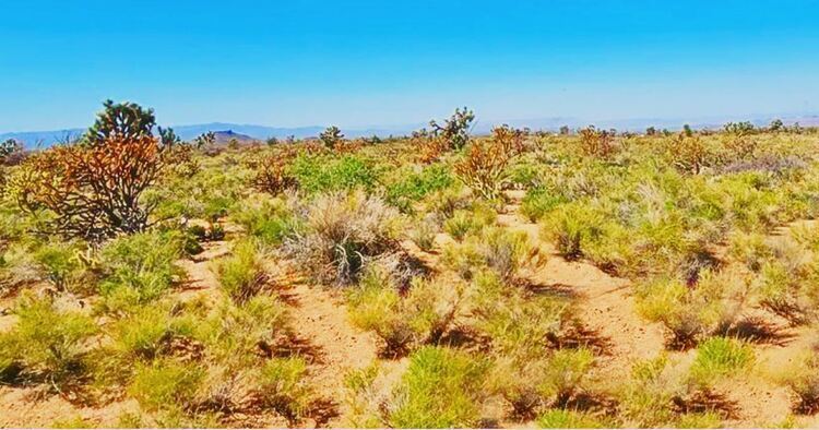 Own Your Off-Grid Oasis in Yucca, AZ - Only $99 Down!!