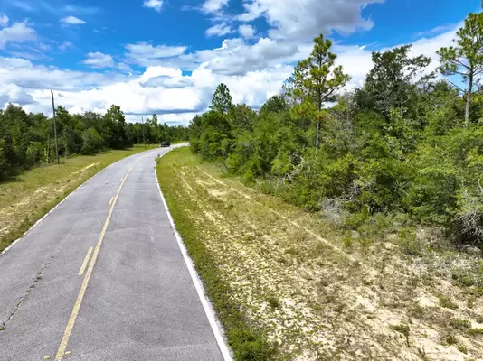 2025 Slice of Sunshine:  0.23 Acres; Sunny Hills, FL$170/Mo.