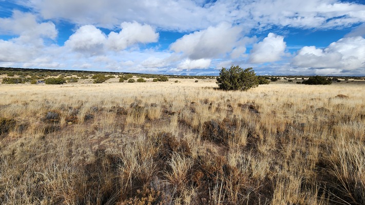 RV-Friendly on 1.24 acres, Sanders, AZ - $100 down!