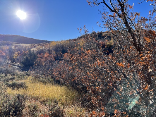 Sanpete County, UT Land For Sale | Landmodo