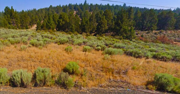 Would You Love 1.54 Acres Near Sprague River? Act Now!