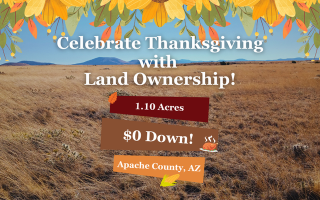 Apache: Prime Land with Water Nearby <del>$180</del> $0 Down!