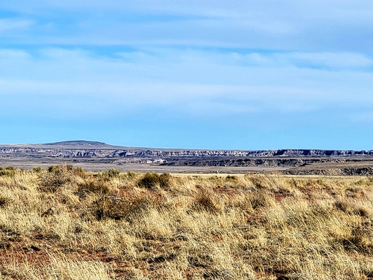 1.08 Acre Minutes Away from the Petrified Forest! $49 DOWN!