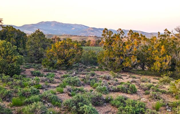 <span style='color:red; font-size: 18.0pt;'><marquee> Off-Grid Living on Your Own 40-Acre Oasis in Wells, NV!</marquee></s></span><strong></strong>