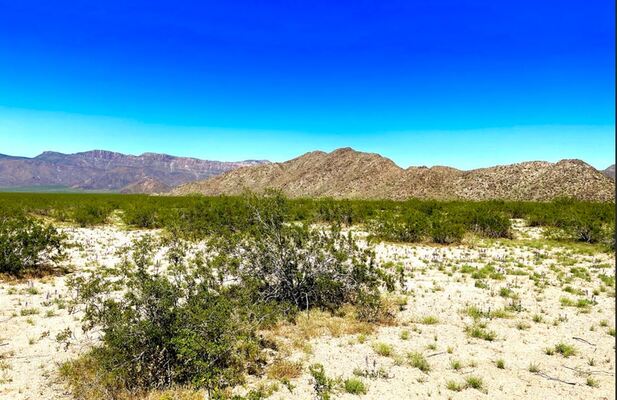 Unveil Your Outback Fantasy in Mohave County, Arizona! $199 DOWN!