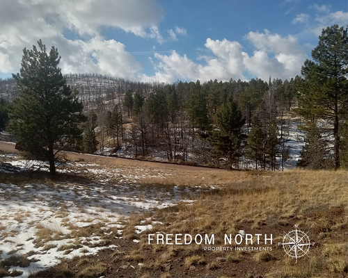 1.3-Acre Raw Land in Forbes Park - Fort Garland, CO!