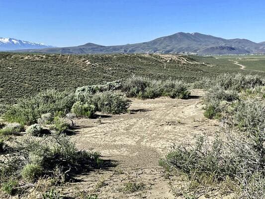 Explore 1.03 Ac of Untamed Wilderness in Elko, NV! - $150/Mo