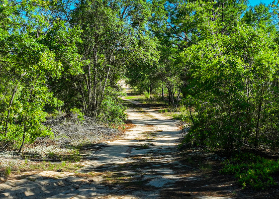 $249/mo:Putnam Co., 0.49 acres CORNER LOT zoned mobile home