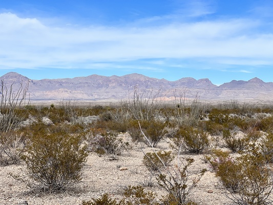 Presidio TX - a top 10 middle-of-nowhere town