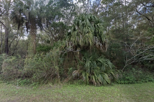 Tiny 0.09 Acres near Crystal River – Only $100/mo