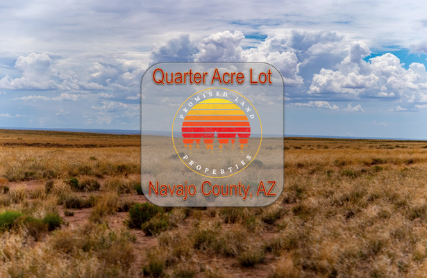 Quarter Acre Lot Filled With Opportunity! Only $65/month