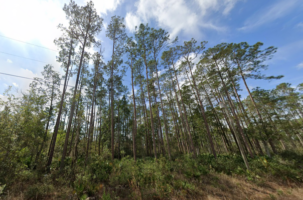 Land a Sweet Deal in Interlachen, FL– .22 Acre Only $180/mo!